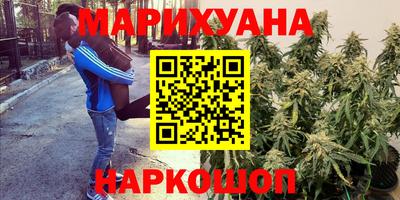 гидропоника Малгобек