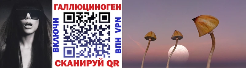 Псилоцибиновые грибы мицелий  купить  цена  Костомукша 